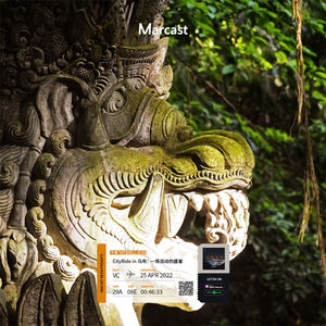 Vol.34: CityRide in 乌布：一场流动的盛宴