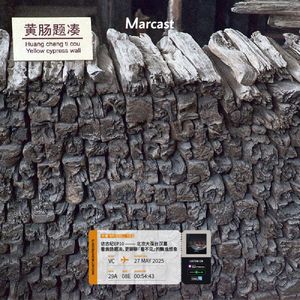 Vol.156 北京大葆台汉墓：看黄肠题凑，更聊聊「看不见」的飘逸想象 | 访古纪 EP10
