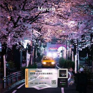 Vol.8: 城中春日：还是要去看樱花