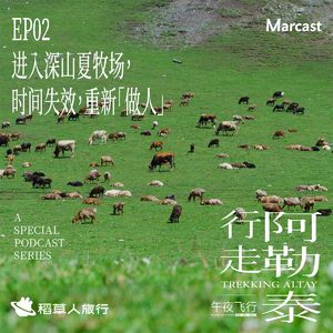 Vol.118: 进入深山夏牧场,时间失效,重新「做人」| 行走阿勒泰 EP02
