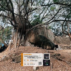 Vol.98: 在政府大楼和网红老街之间，寻找厦门城遗址 | CityCorner