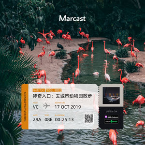 Vol.2: 神奇入口：去城市动物园散步