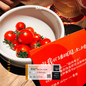 Vol.65: 捡垃圾，种番茄，劳作的意义，和快乐干杯 | 人与土地