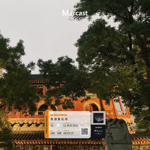 Vol.23: 夜游智化寺