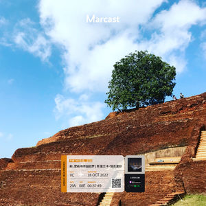 Vol.50: 树、壁画与帝国旧梦 | 斯里兰卡 · 锡吉里耶