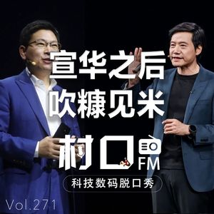 宣华之后 吹糠见米 村口FM vol.271