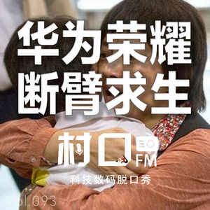 华为荣耀断臂求生 村口FM vol.093