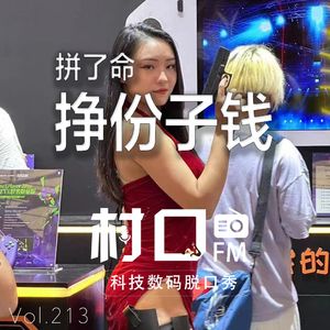 拼了命挣份子钱 村口FM vol.213