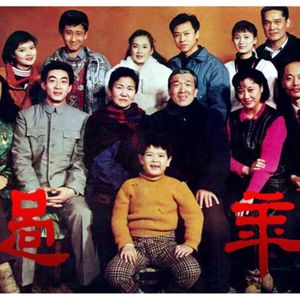 225.《过年》：中国式普通家庭万花筒