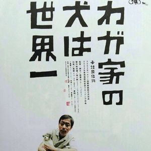 239.《卡拉是条狗》：一场关于中年危机的救狗事件