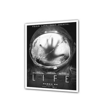 奇妙店台第1期：异星人觉醒，贾老板受惊