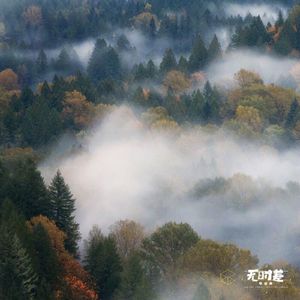 EP70-那些我们青春里无法忘却的江湖(下)