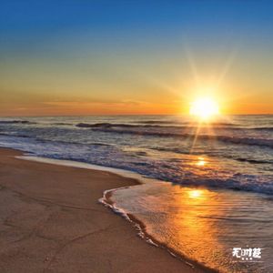 EP102-孙玲:从工厂流水线到谷歌工程师,我只是一个抓住了时代机遇的普通人