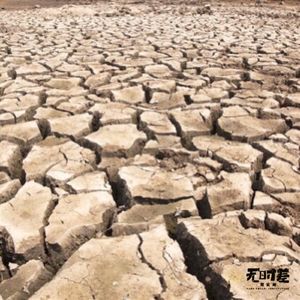 EP112-全球森林大火真的与你无关吗？- 环保是一场漫长的人类自我救赎