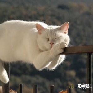 EP52-我右手劈开天写下了一个“丧”字