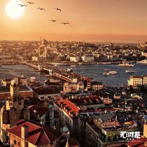 EP55-去土耳其做一只肆意流浪的猫