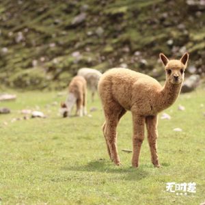 EP65-嘿,你哪儿来的勇气辞职去旅行?(下)