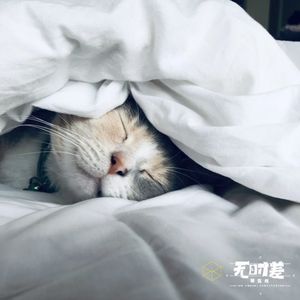 EP185-Sleep|全世界失眠