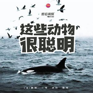 醉后调频 - 这些动物很聪明