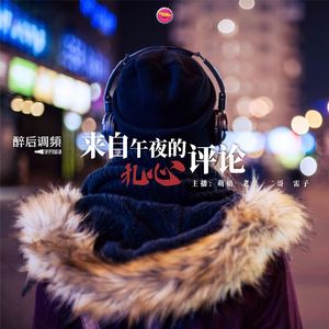 醉后调频 - 来自午夜的扎心评论3