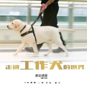 醉后调频 - 走进工作犬的世界
