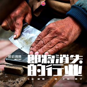醉后调频 - 即将消失的行业