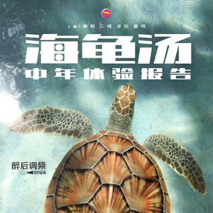 醉后调频 - 再来一碗海龟汤