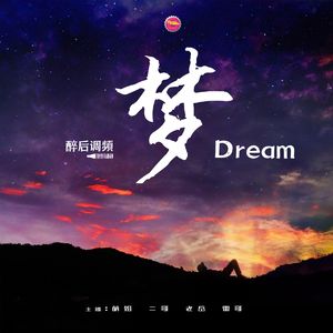 醉后调频 - 梦大致分为以下几种