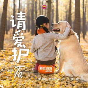醉后调频 - 请爱护ta