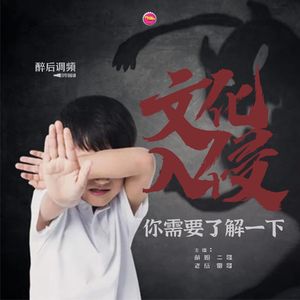 醉后调频 - 文化入侵要了解一下吧