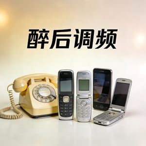 醉后调频 - 电信诈骗发展史