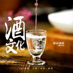 醉后调频 - 今天正经聊聊酒