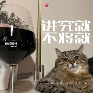 醉后调频 - 讲究不将就 将就不讲究