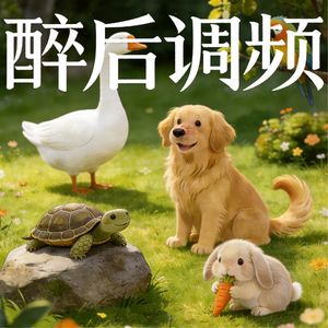 醉后调频 - 我们的宠物