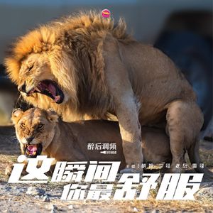 醉后调频 - 这瞬间你最舒服