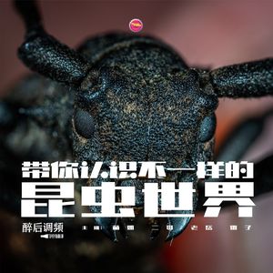醉后调频 - 带你认识不一样的昆虫世界