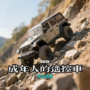 醉后调频 - 成年人的遥控车