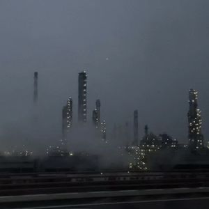 Episode 41: 疫情日记2：在混乱中重建共识和秩序，一个社区工作者的自述