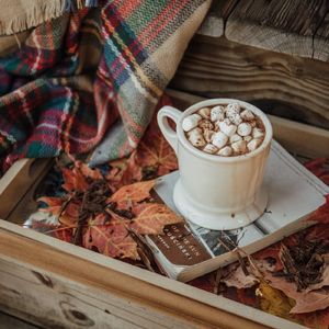 022. 【海螺壳】秋夜闲谈