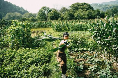 065. 我过上了理想生活,但……