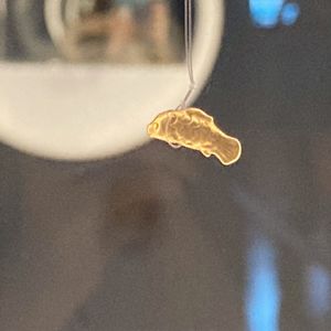 #180. 是金子总会在博物馆发光的