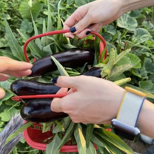 【Bonus Track】与段老师在田间散步