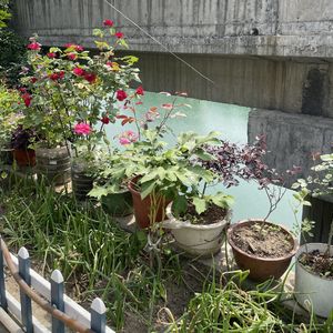 汉水日记之七：郧阳到旬阳