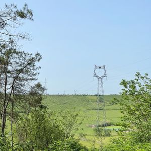 【闲聊】后来我们又聊了死亡但是录音已经关了就这样吧