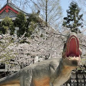 #188. 春光大好快去博物馆!(下)