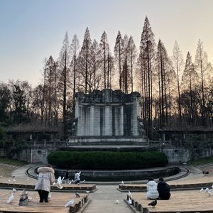202. 杨廷宝:从美术馆到城市空间