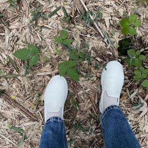 #183. 穿着 Allbirds 看 V&A:源于自然的时尚