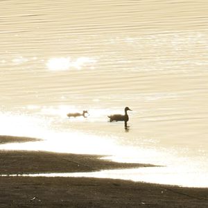汉水日记读评论之二