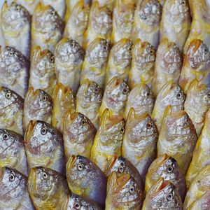 200. 甬城快闪:宁波博物馆、保国寺、自得琴社、小海鲜