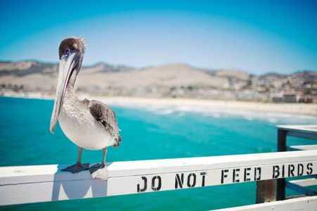 vol.14 我们可能谈的是旅行（一）